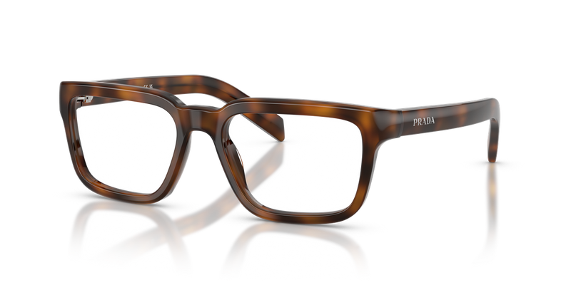 Prada PR D04V in Juniper Havana / Demo Lens (20D1O1) - Alternate View