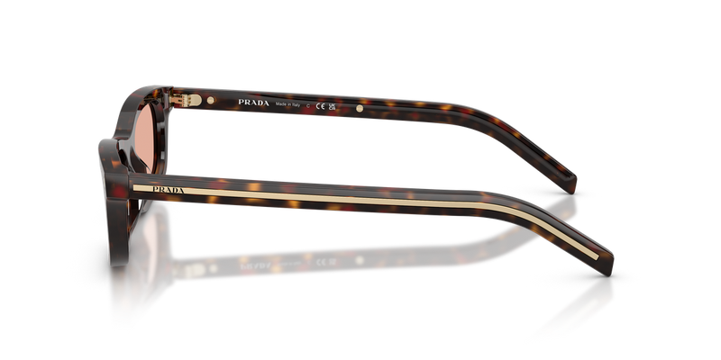 Prada PRD05SF in Root Tortoise - Alternate View