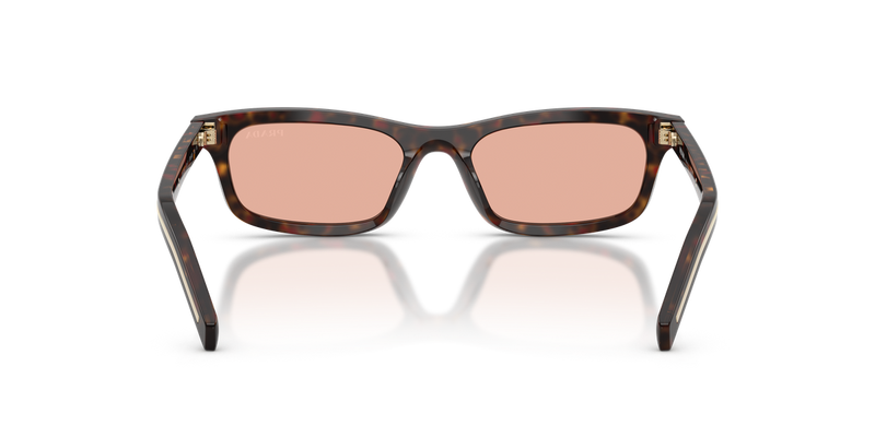 Prada PRD05SF in Root Tortoise - Alternate View