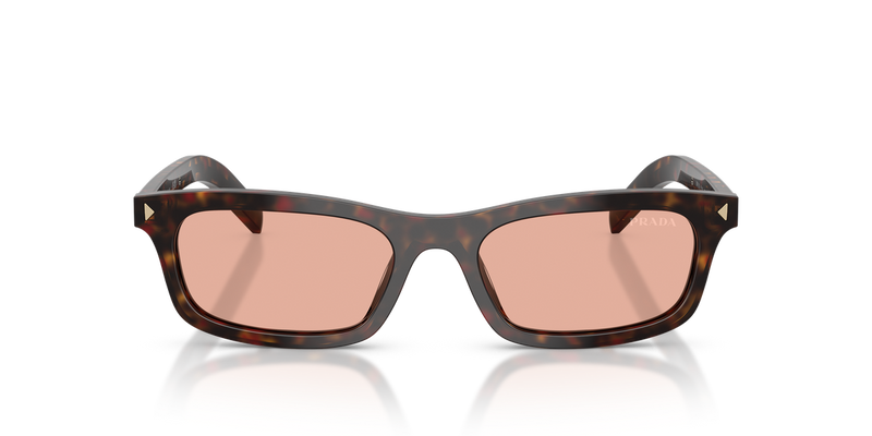 Prada PR D05S in Root Tortoise / Pink (17N50W) - Alternate View