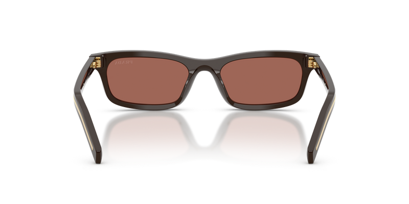 Prada PR D05S in Cigar / Brown (27I20W) - Alternate View