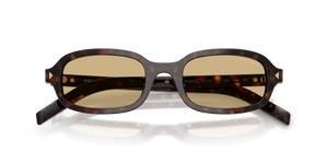 Root Tortoise / Light Brown (17N70R)