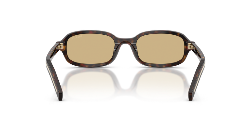 Prada PRD06SF in Root Tortoise - Alternate View