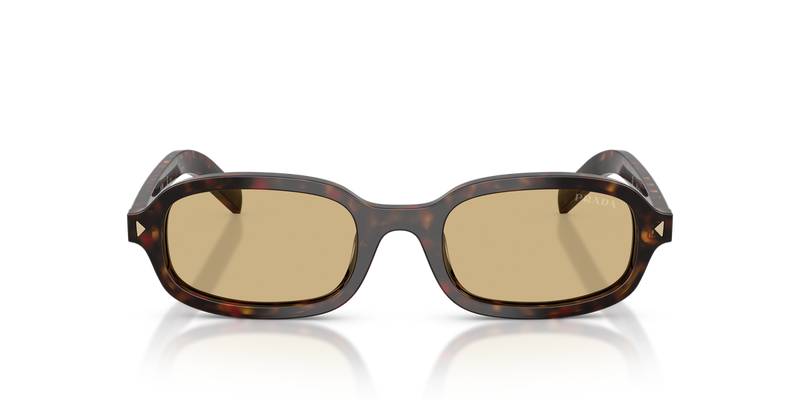 Prada PRD06SF in Root Tortoise - Alternate View