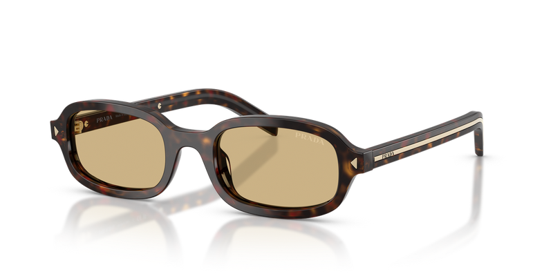 Prada PR D06S in Root Tortoise / Light Brown (17N70R) - Alternate View