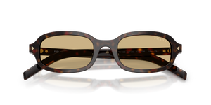 Root Tortoise / Light Brown (17N70R)