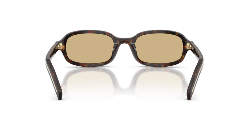 Prada PR D06S in Root Tortoise / Light Brown (17N70R) - Alternate View
