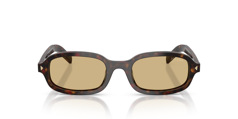 Prada PR D06S in Root Tortoise / Light Brown (17N70R) - Alternate View