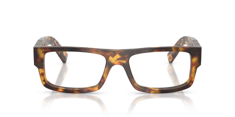 Prada PR D06V in Honey Havana / Demo Lens (14L1O1) - Alternate View