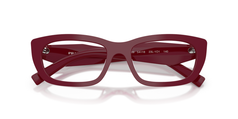 Prada PR D09V in Brown Marsala / Demo Lens (23L1O1) - Alternate View
