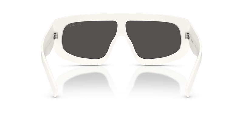 Prada PR D10S in Talc / Dark Grey (17K08Z) - Alternate View
