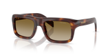 Classic Tortoise / Brown Gradient (15W20U)
