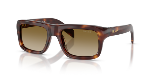 Classic Tortoise / Brown Gradient (15W20U)