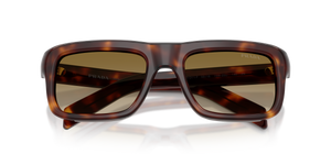 Classic Tortoise / Brown Gradient (15W20U)
