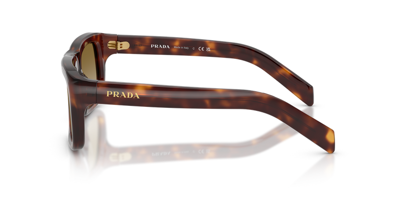 Prada PRD11SF in Classic Tortoise - Back View