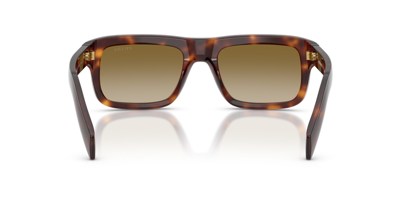 Prada PRD11SF in Classic Tortoise - Temple Detail