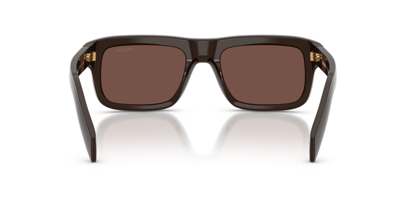 Prada PRD11SF in Cigar - Alternate View