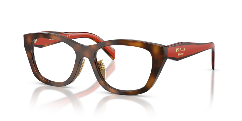 Prada PR D11VD in Juniper Havana / Demo Lens (01K1O1) - Alternate View