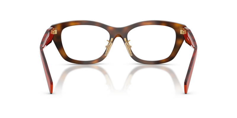 Prada PR D11VD in Juniper Havana / Demo Lens (01K1O1) - Alternate View