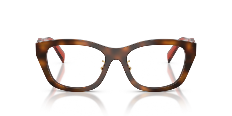 Prada PR D11VD in Juniper Havana / Demo Lens (01K1O1) - Alternate View