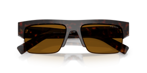 Root Tortoise / Dark Bronze (17N20V)