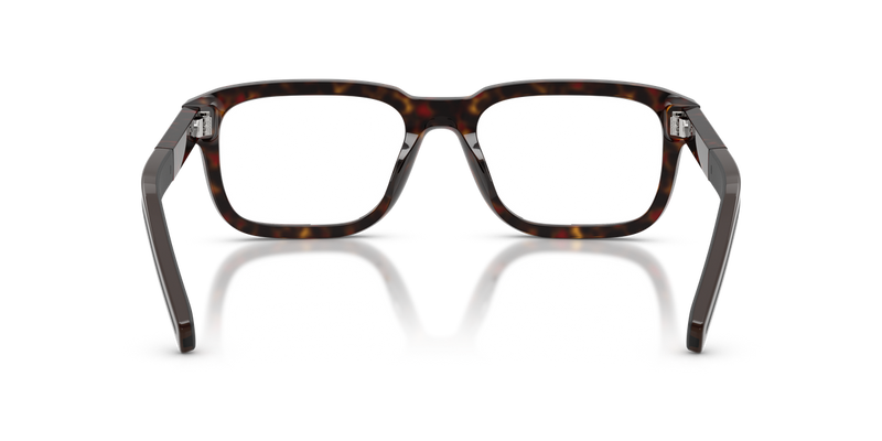 Prada PRD12VF in Root Tortoise - Alternate View