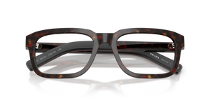 Root Tortoise / Demo Lens (17N1O1)