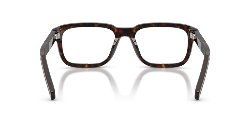 Prada PRD12V in Root Tortoise - Alternate View