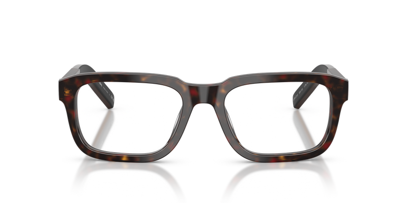 Prada PRD12V in Root Tortoise - Alternate View