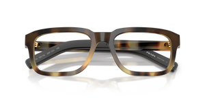 Mahogany Tortoise Gradient / Demo Lens (22P1O1)