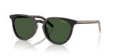 Cherry Tortoise/Tabacco Horn / Green (20P40P)