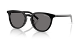 Black/basalt Horn / Dark Grey Polarized (29O90T)