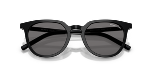 Black/basalt Horn / Dark Grey Polarized (29O90T)