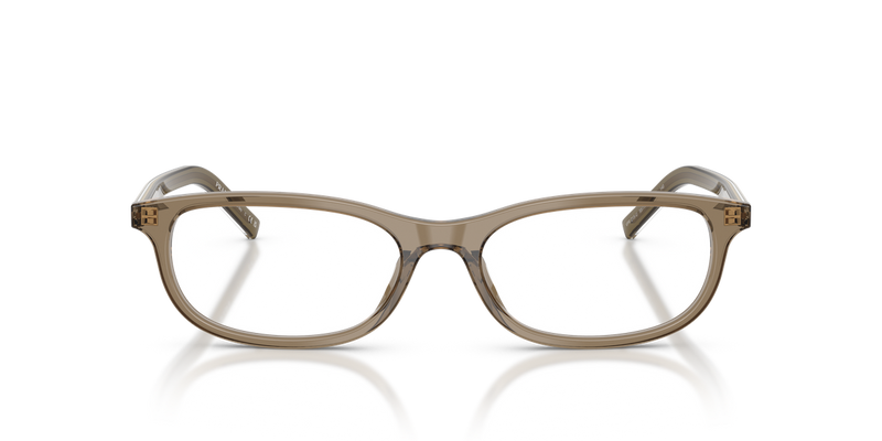 Prada PRD15VU in Transparent Terra - Alternate View