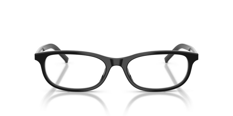 Prada PRD15VU in Black/basalt Horn - Alternate View
