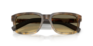 Oak Tortoise Gradient / Tundra Sfumato Bio (21P81B)