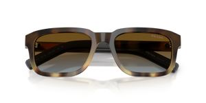Mahogany Tortoise Gradient / Blue Gradient Brown (22P0A4)
