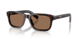 Root Tortoise / Dark Brown (17N60M)