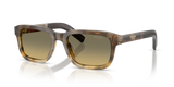 Oak Tortoise Gradient / Brown Gradient Grey (21P81B)