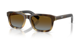 Mahogany Tortoise Gradient / Blue Gradient Brown (22P0A4)