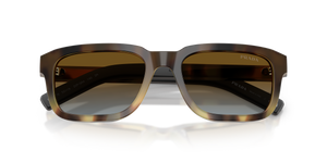 Mahogany Tortoise Gradient / Blue Gradient Brown (22P0A4)