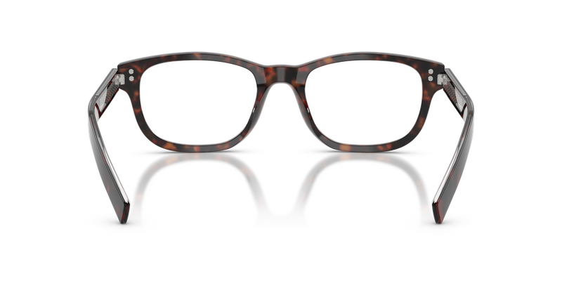 Prada PRD16VF in Root Havana - Alternate View