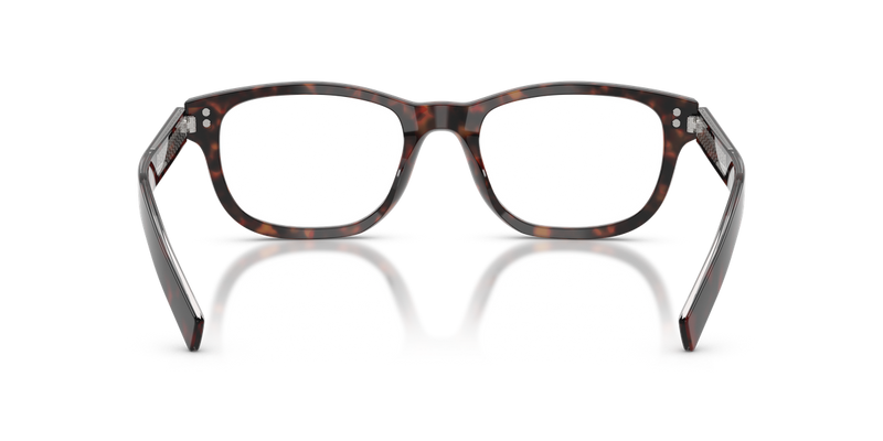Prada PRD16V in Root Havana - Alternate View