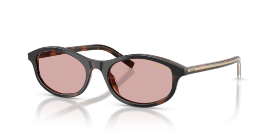Prada PRD17SF - Cherry Tortoise/Tabacco Horn / Light Violet (20P9G1)