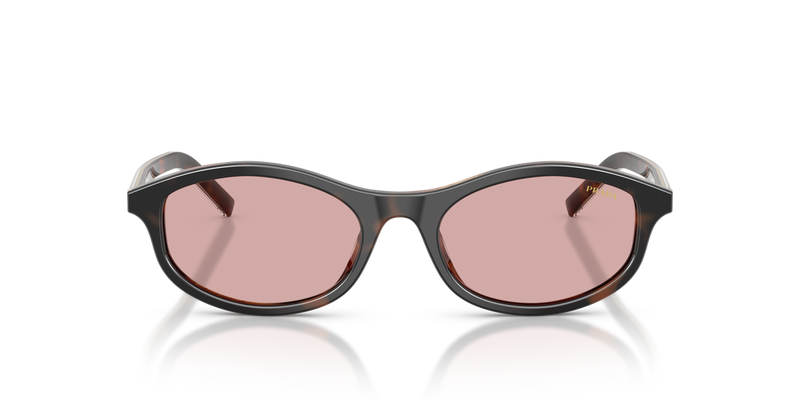 Prada PRD17SF in Cherry Tortoise/Tabacco Horn - Alternate View