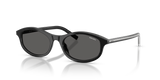 Black/basalt Horn / Dark Grey (29O20Z)