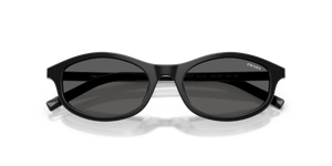 Black/basalt Horn / Dark Grey (29O20Z)
