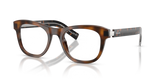 Juniper Tortoise / Demo Lens (20D1O1)