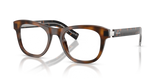 Juniper Tortoise / Demo Lens (20D1O1)