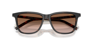 Cherry Tortoise/Tabacco Horn / Brown Gradient (20P90P)
